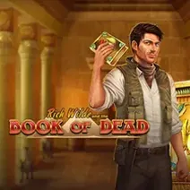 Book of Dead Demo spielen
